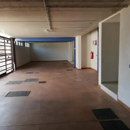 Mimosa Bellagio Wild Flowers Oliveto Lario