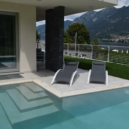 Mimosa Bellagio Wild Flowers Oliveto Lario