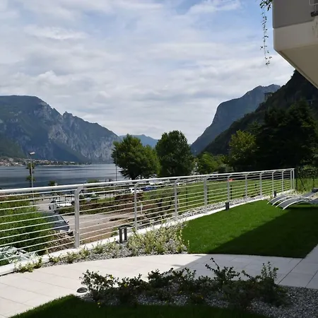 Mimosa Bellagio Wild Flowers