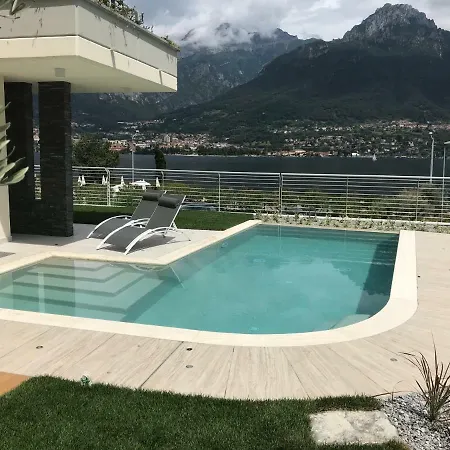 Mimosa Bellagio Wild Flowers *