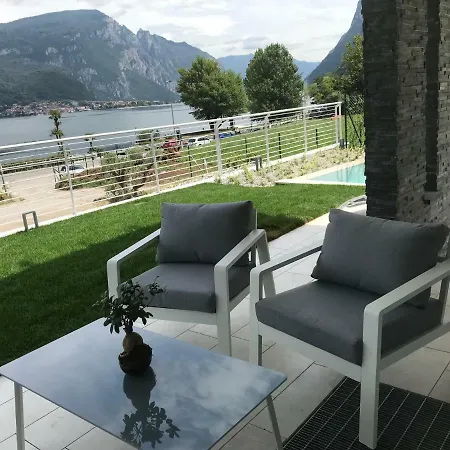 Mimosa Bellagio Wild Flowers *