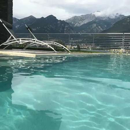 Mimosa Bellagio Wild Flowers *