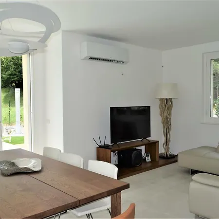 Mimosa Bellagio Wild Flowers