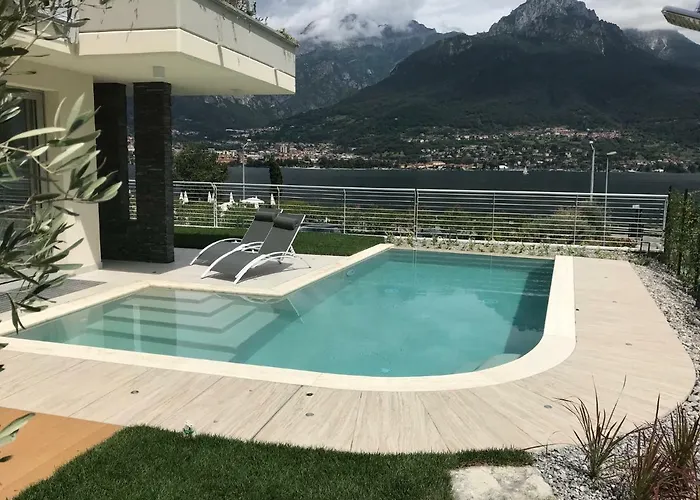 Mimosa Bellagio Wild Flowers *