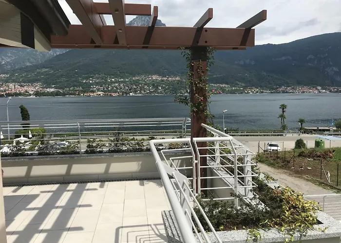 Mimosa Bellagio Wild Flowers