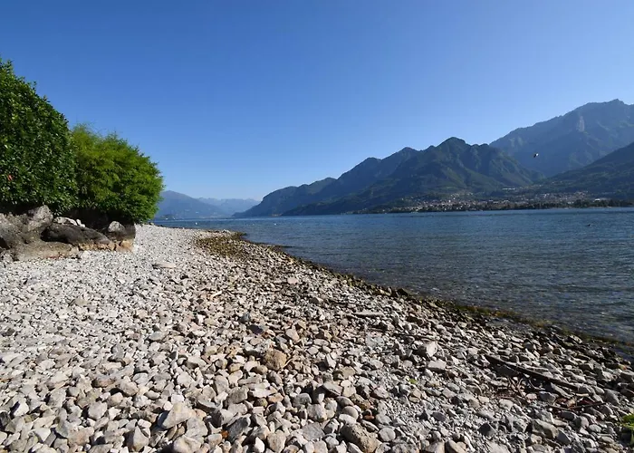 Mimosa Bellagio Wild Flowers וילה