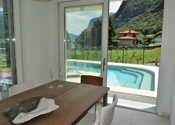 Mimosa Bellagio Wild Flowers *