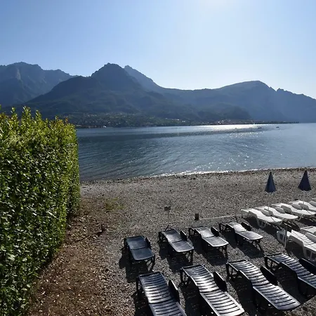 Mimosa Bellagio Wild Flowers Vila Oliveto Lario