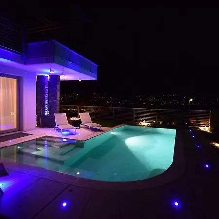 Mimosa Bellagio Wild Flowers