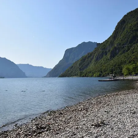Mimosa Bellagio Wild Flowers * Oliveto Lario