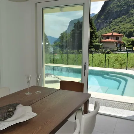 Mimosa Bellagio Wild Flowers *